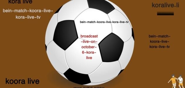 Bundesliga Special review of the 2023/24 season